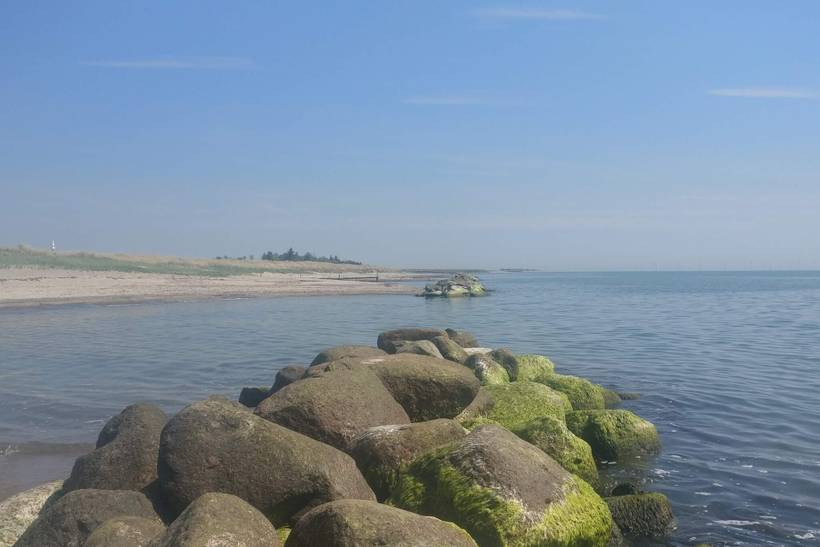 Foto von Ferienhaus SC56 in Hyldtofte - Lolland