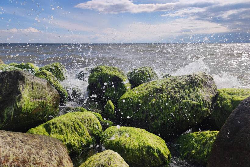 Foto von Ferienhaus SC56 in Hyldtofte - Lolland