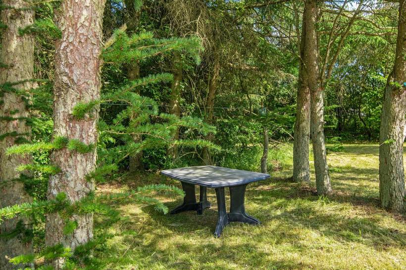 Foto von Ferienhaus SC65 in Strandet - Thy/Limfjord