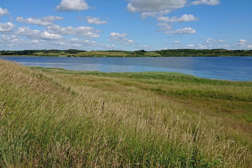 Foto von Ferienhaus SC65 in Strandet - Thy/Limfjord