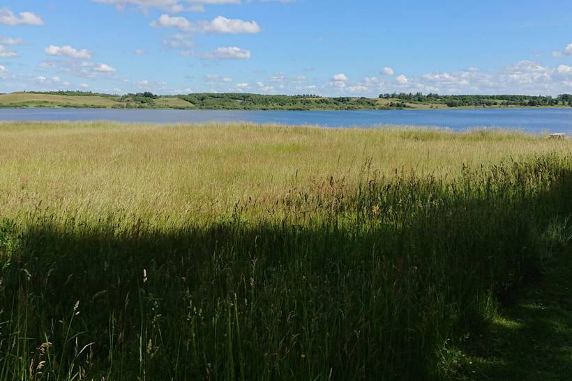Foto von Ferienhaus SC65 in Strandet - Thy/Limfjord