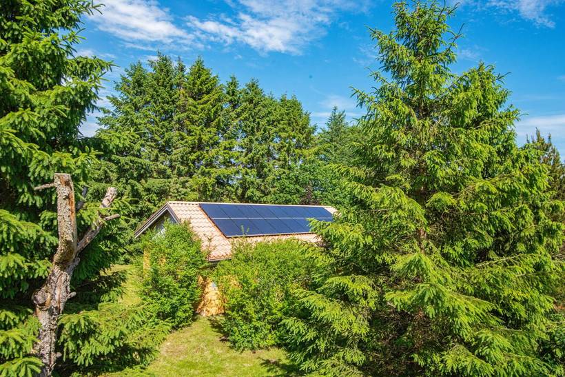 Foto von Ferienhaus SC65 in Strandet - Thy/Limfjord