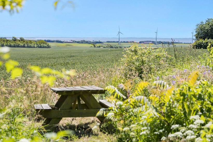Foto von Ferienhaus SC74 in Næsby - Thy/Limfjord