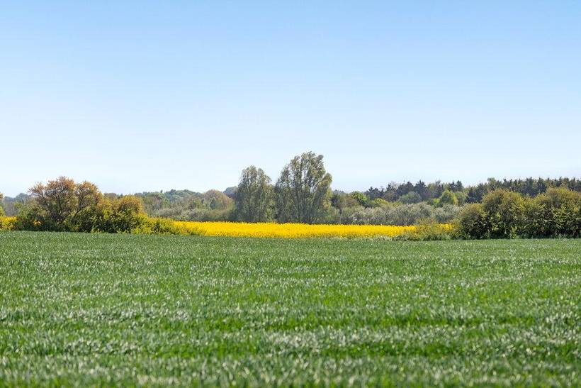 Foto von Ferienhaus SD60 auf Haslev - Südseeland