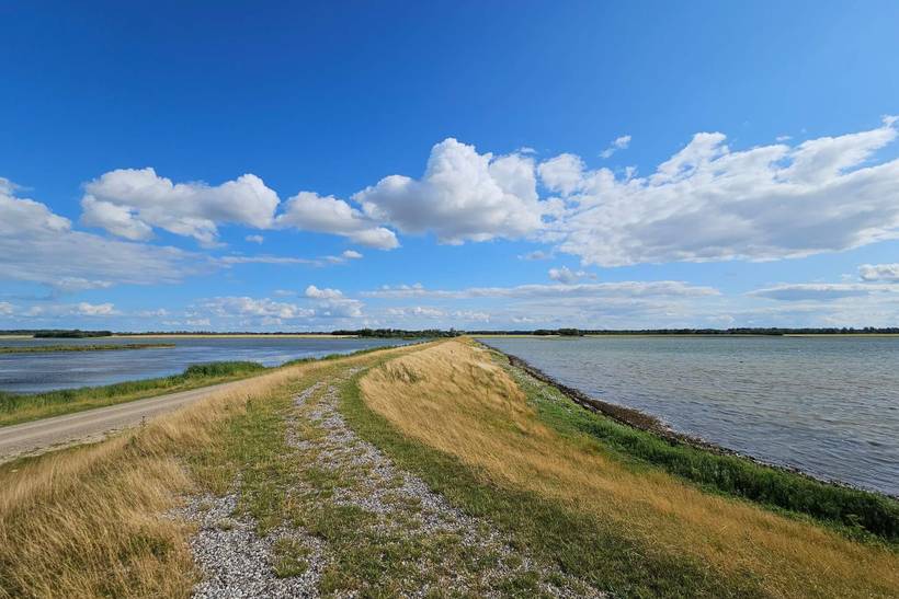 Foto von Ferienhaus SE30 in Vrist - Vejlby Klit - Westjütland