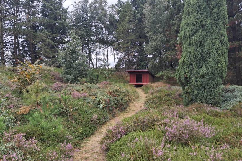 Foto von Ferienhaus SE44 in Toftum - Rømø