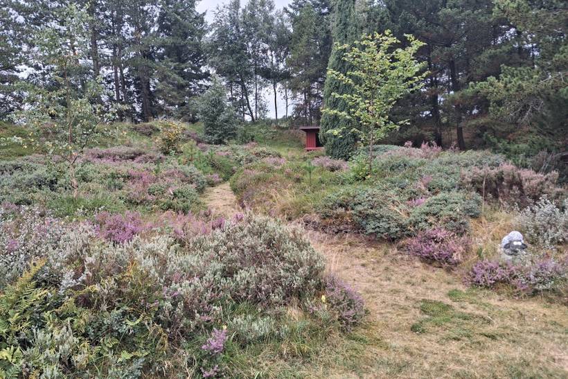 Foto von Ferienhaus SE44 in Toftum - Rømø