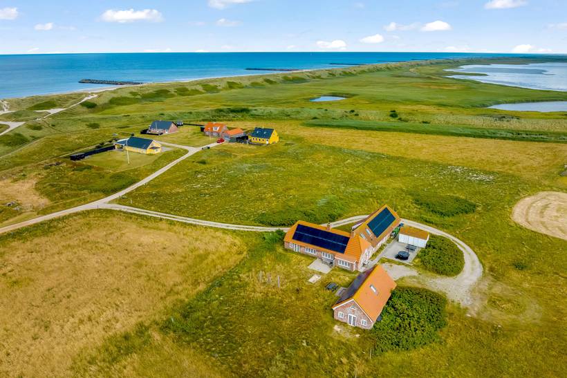 Foto von Ferienhaus SF08 in Langerhuse - Vejlby Klit - Westjütland