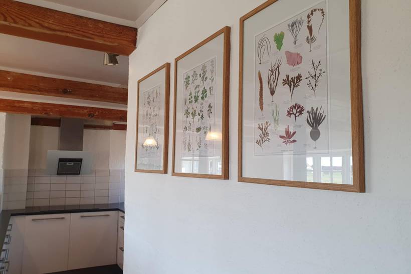 Foto von Ferienhaus SF08 in Langerhuse - Vejlby Klit - Westjütland