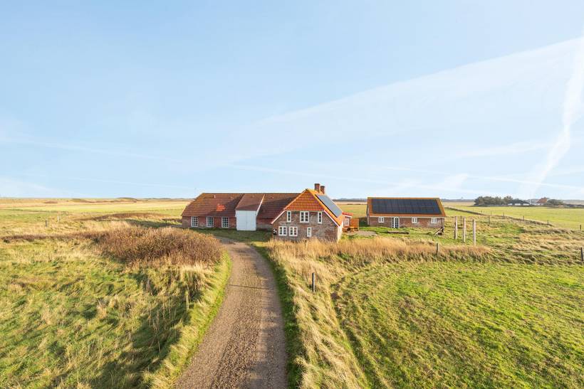 Foto von Ferienhaus SF08 in Langerhuse - Vejlby Klit - Westjütland