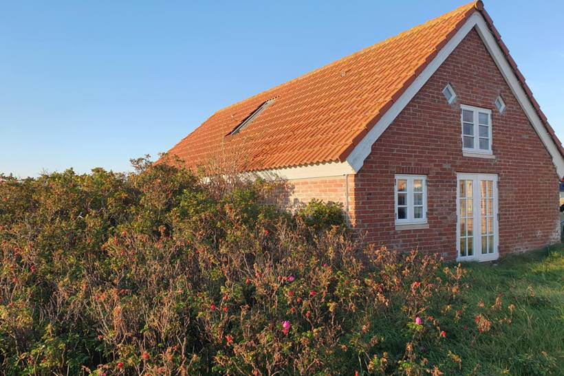 Foto von Ferienhaus SF08 in Langerhuse - Vejlby Klit - Westjütland