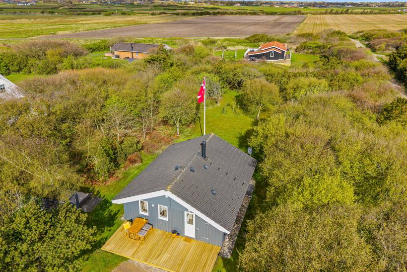 Foto von Ferienhaus SF28 in Lodbjerg Hede - Søndervig - Westjütland