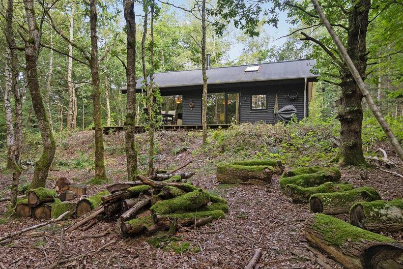 Foto von Ferienhaus SF48 in Vesthimmerland - Thy/Limfjord