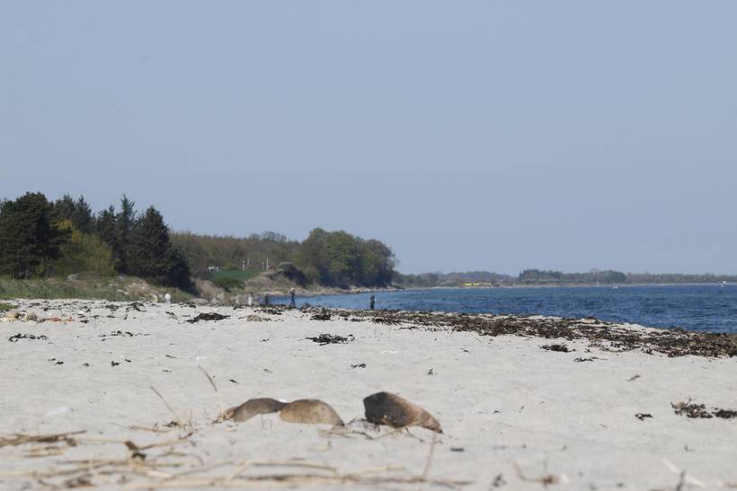 Foto von Ferienhaus SG03 auf Tranekær - Langeland
