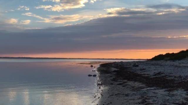 Foto von Ferienhaus SG81 in Sejerø Bugt - Westseeland