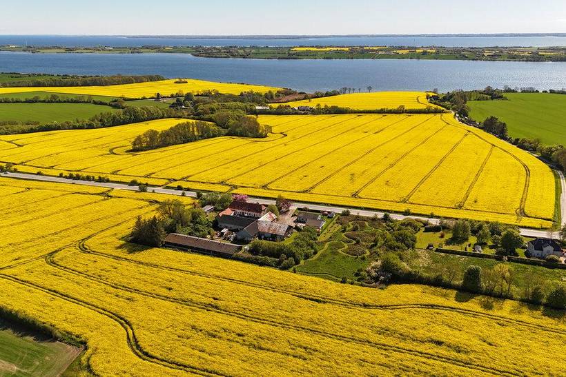 Foto von Ferienhaus SG85 auf Lebøl - Als