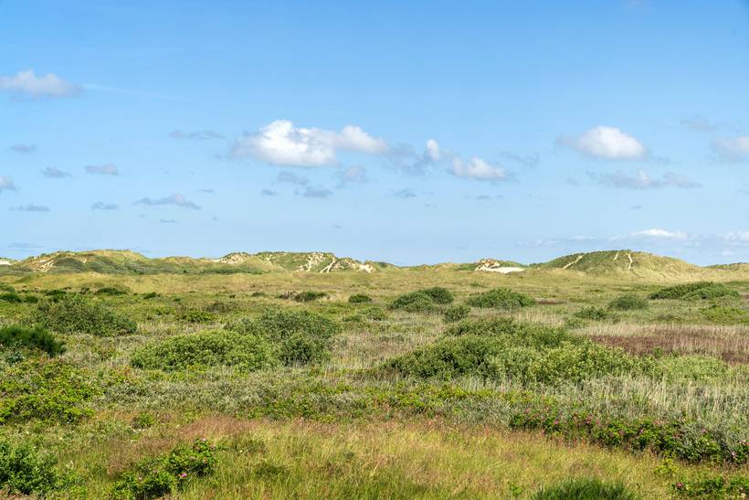 Foto von Ferienhaus SG98 in Lakolk - Rømø