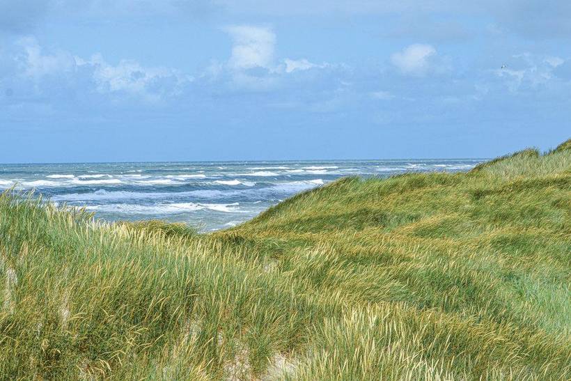 Foto von Ferienhaus SH10 in Søndervig - Westjütland