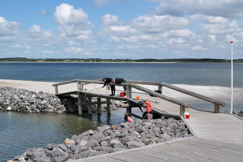 Foto von Ferienhaus SH12 in Handbjerg - Thy/Limfjord