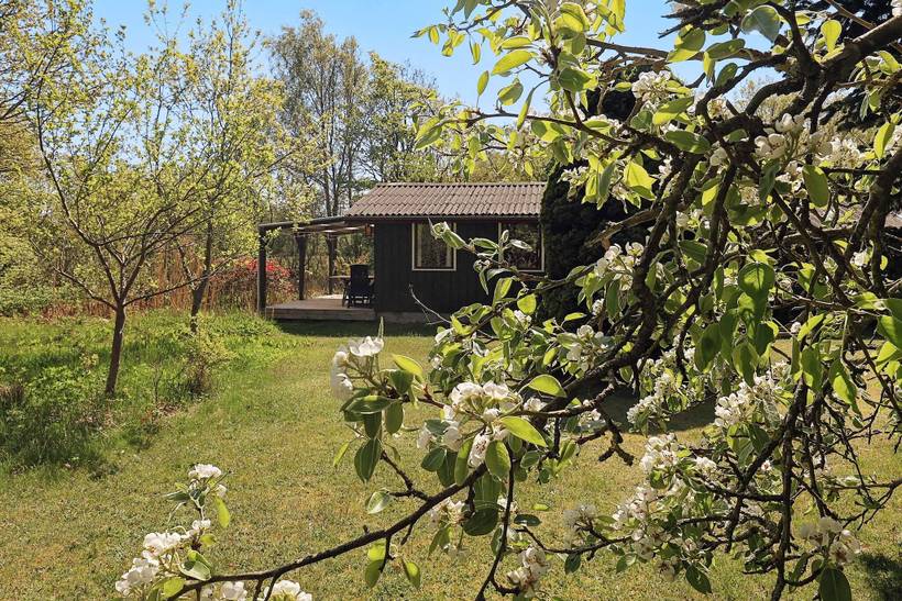 Foto von Ferienhaus SH16 in Vesterø - Læsø
