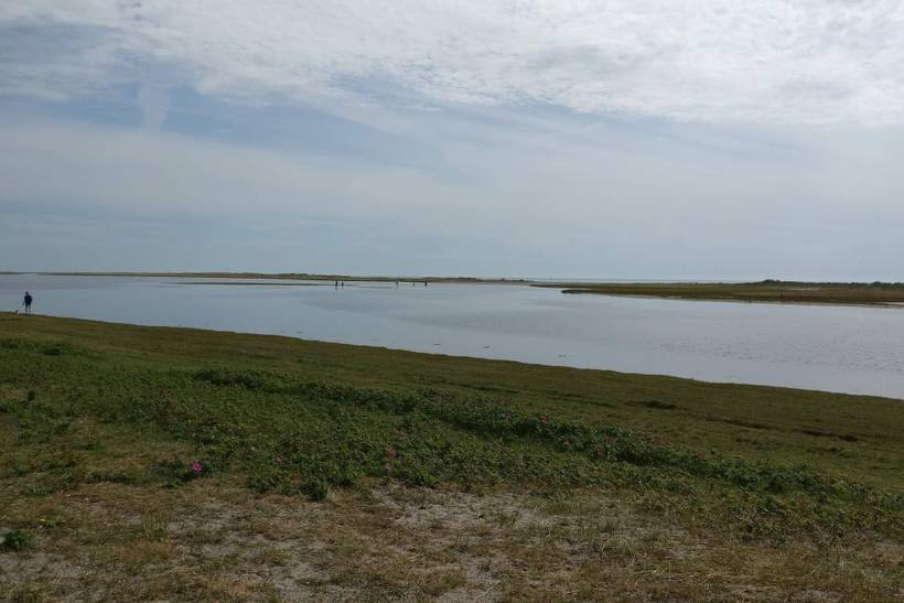 Foto von Ferienhaus SH16 in Vesterø - Læsø