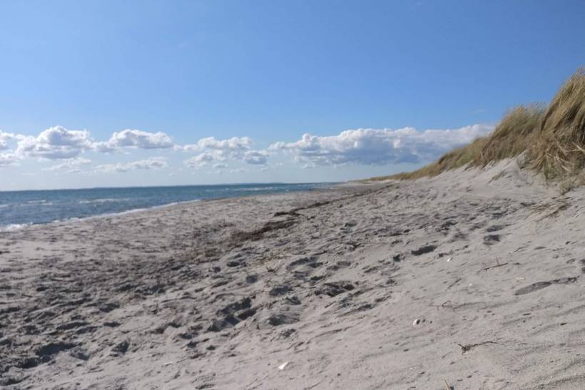 Foto von Ferienhaus SH16 in Vesterø - Læsø