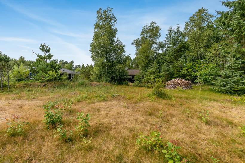 Foto von Ferienhaus SH47 in Ålbæk - Nordjütland Ost