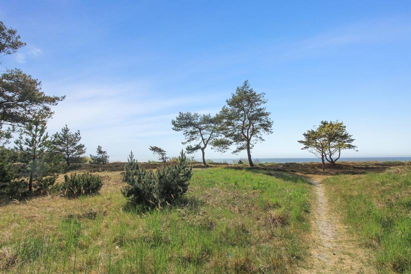 Foto von Ferienhaus SH51 in Sømarken - Bornholm