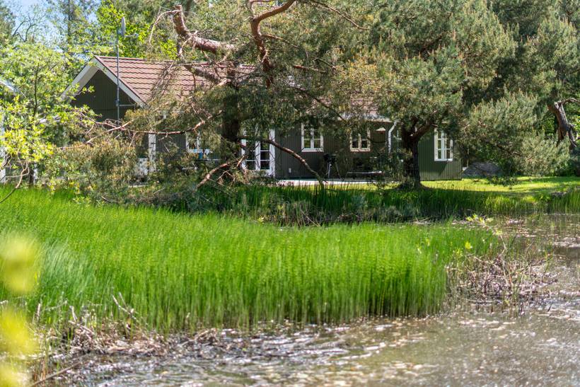Foto von Ferienhaus SH82 in Balka - Bornholm