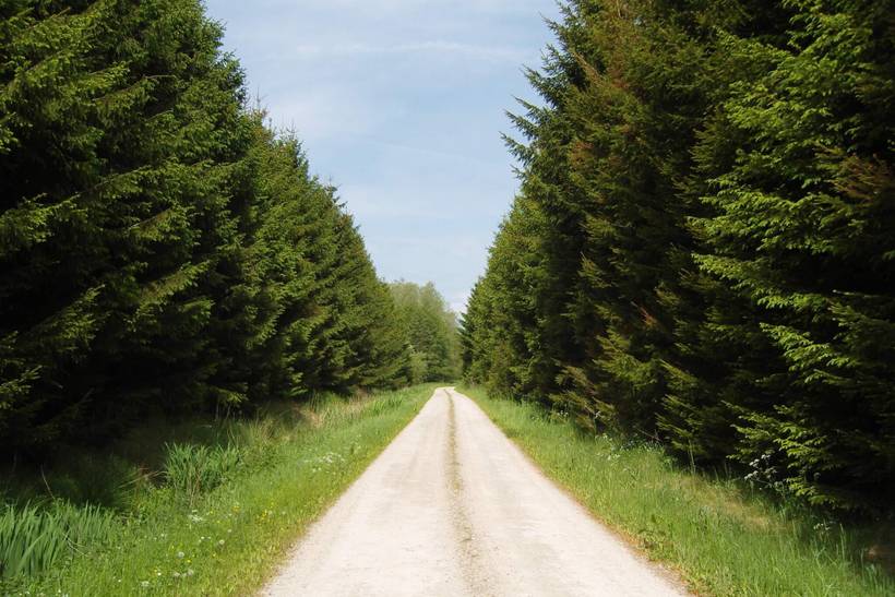 Foto von Ferienhaus SI25 in Egense - Nordjütland Ost