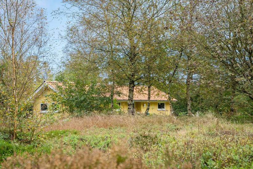 Foto von Ferienhaus SI35 in Kølkær - Westjütland