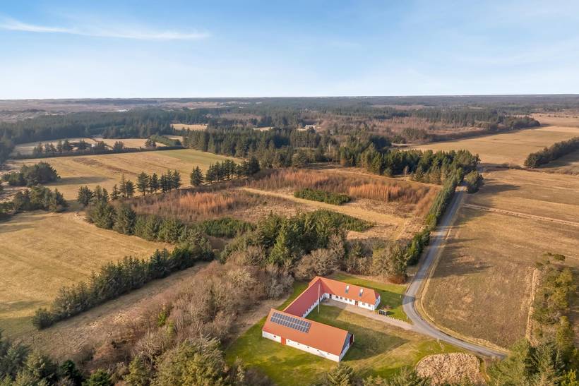 Foto von Ferienhaus SI77 in Stenbjerg - Thy/Limfjord