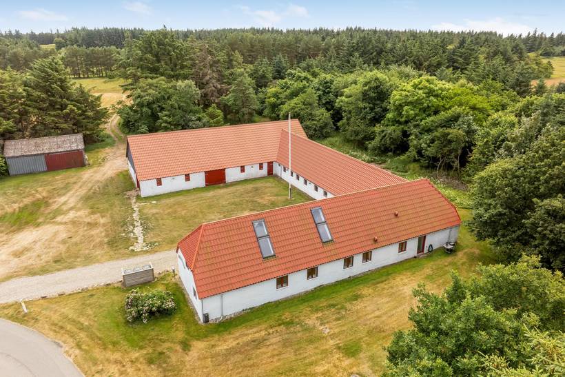 Foto von Ferienhaus SI77 in Stenbjerg - Thy/Limfjord