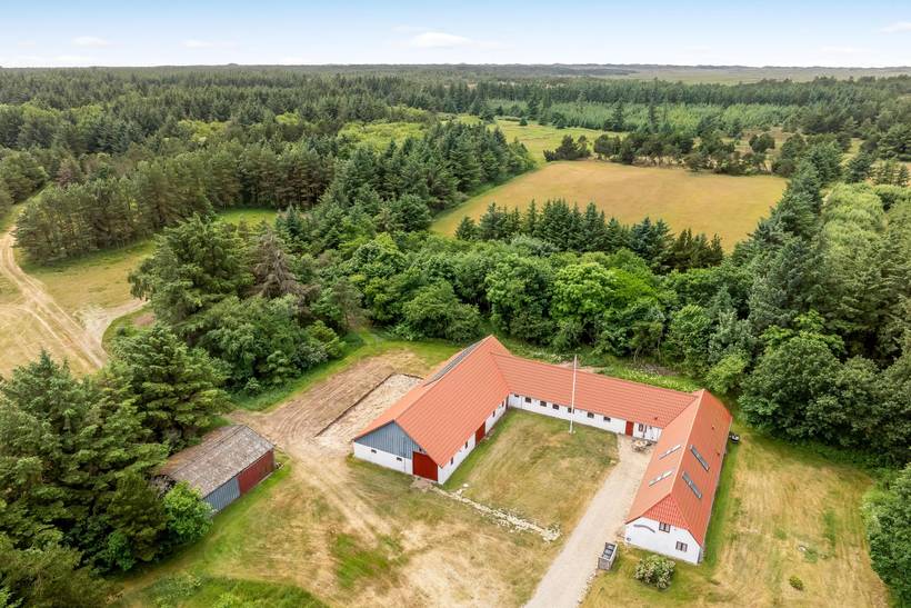 Foto von Ferienhaus SI77 in Stenbjerg - Thy/Limfjord
