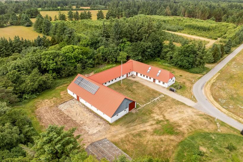 Foto von Ferienhaus SI77 in Stenbjerg - Thy/Limfjord