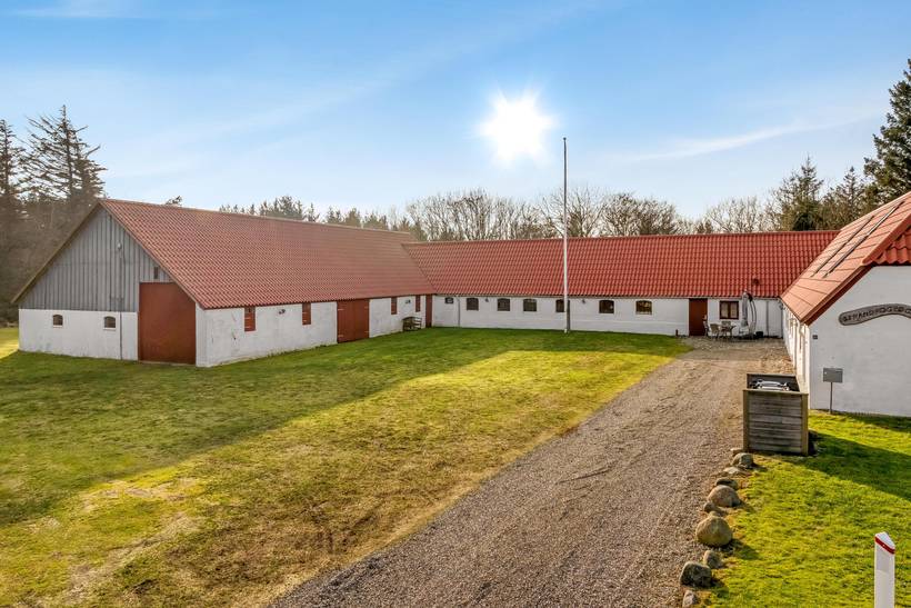 Foto von Ferienhaus SI77 in Stenbjerg - Thy/Limfjord