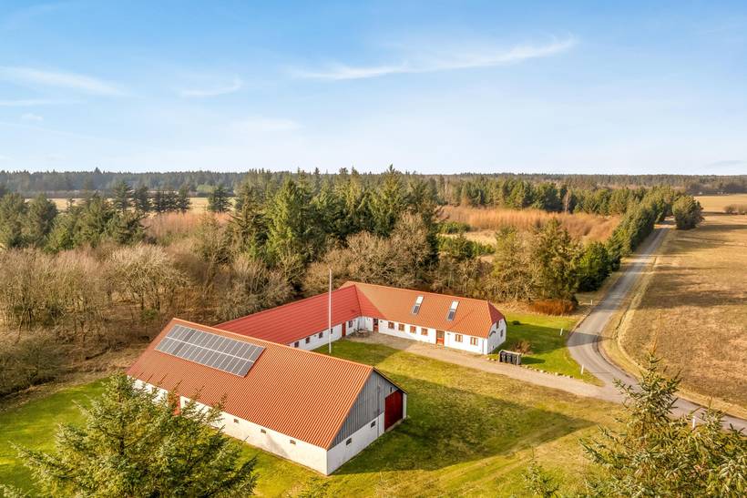 Foto von Ferienhaus SI77 in Stenbjerg - Thy/Limfjord