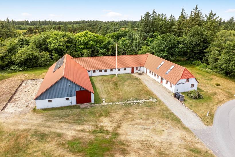 Foto von Ferienhaus SI77 in Stenbjerg - Thy/Limfjord