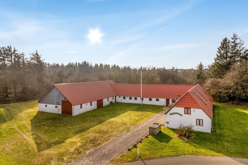 Foto von Ferienhaus SI77 in Stenbjerg - Thy/Limfjord
