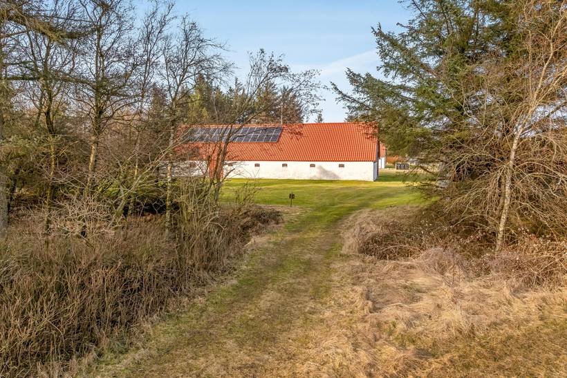 Foto von Ferienhaus SI77 in Stenbjerg - Thy/Limfjord