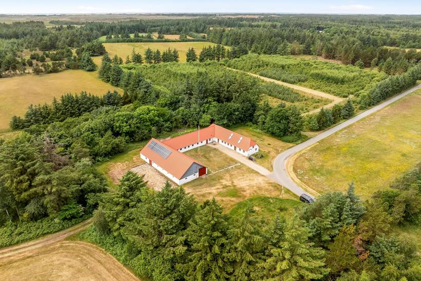 Foto von Ferienhaus SI77 in Stenbjerg - Thy/Limfjord