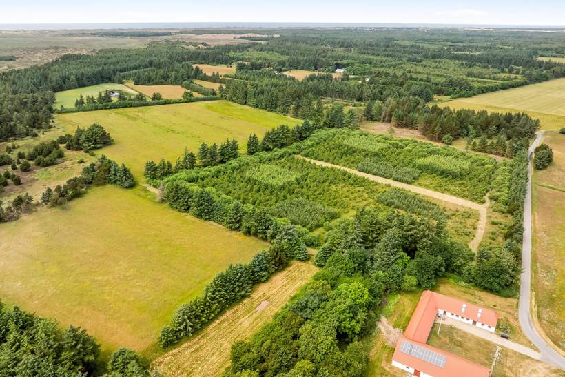 Foto von Ferienhaus SI77 in Stenbjerg - Thy/Limfjord
