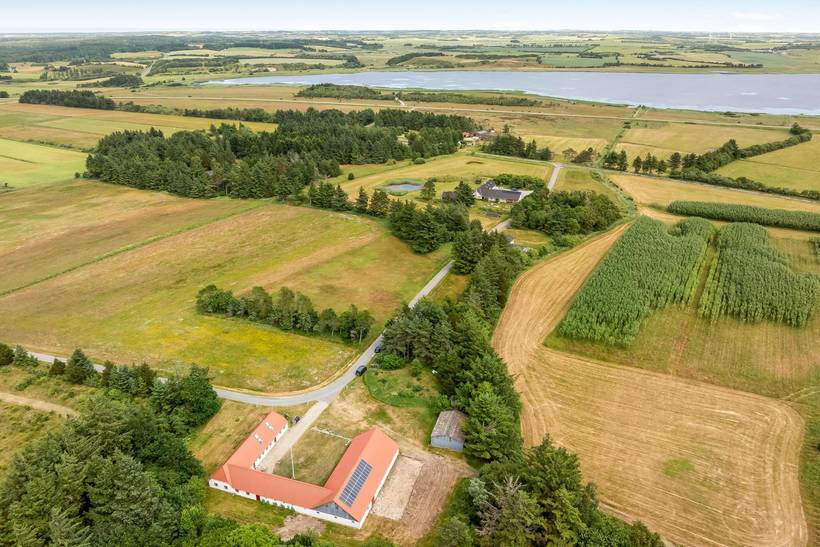 Foto von Ferienhaus SI77 in Stenbjerg - Thy/Limfjord