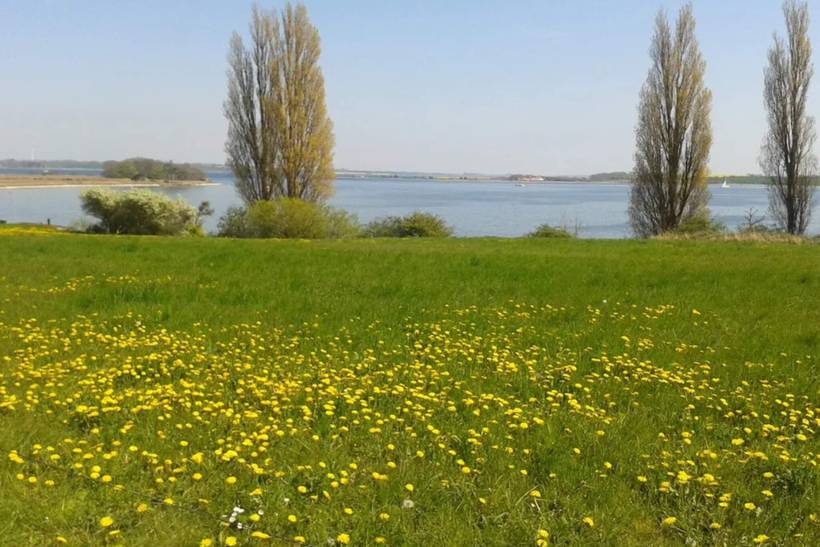 Foto von Ferienhaus SJ29 in Kegnæs - Als