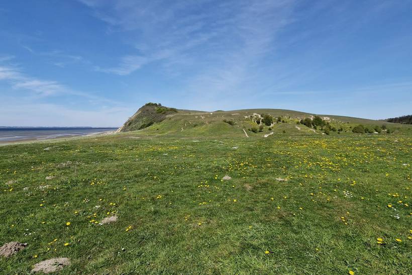 Foto von Ferienhaus SK03 in Virksund - Thy/Limfjord