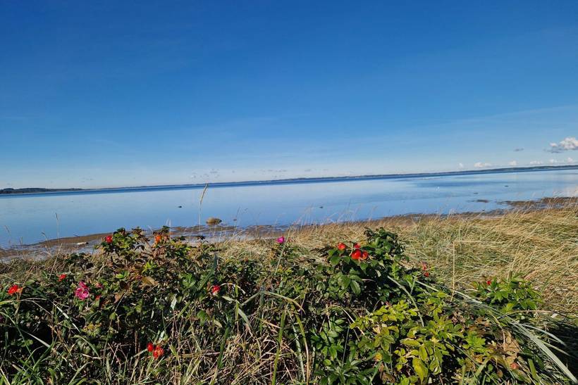Foto von Ferienhaus SK03 in Virksund - Thy/Limfjord