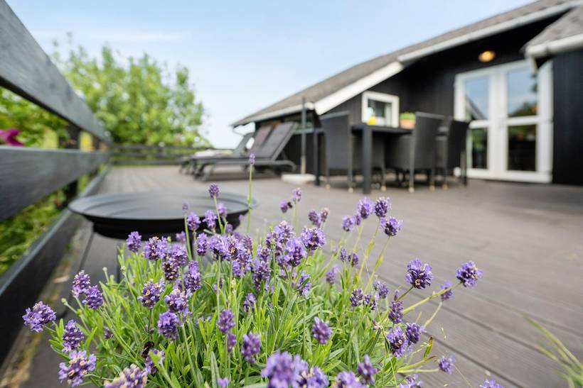 Foto von Ferienhaus SL55 in Kongsmark - Rømø