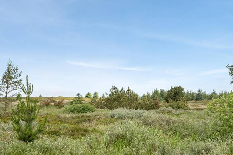 Foto von Ferienhaus SL55 in Kongsmark - Rømø