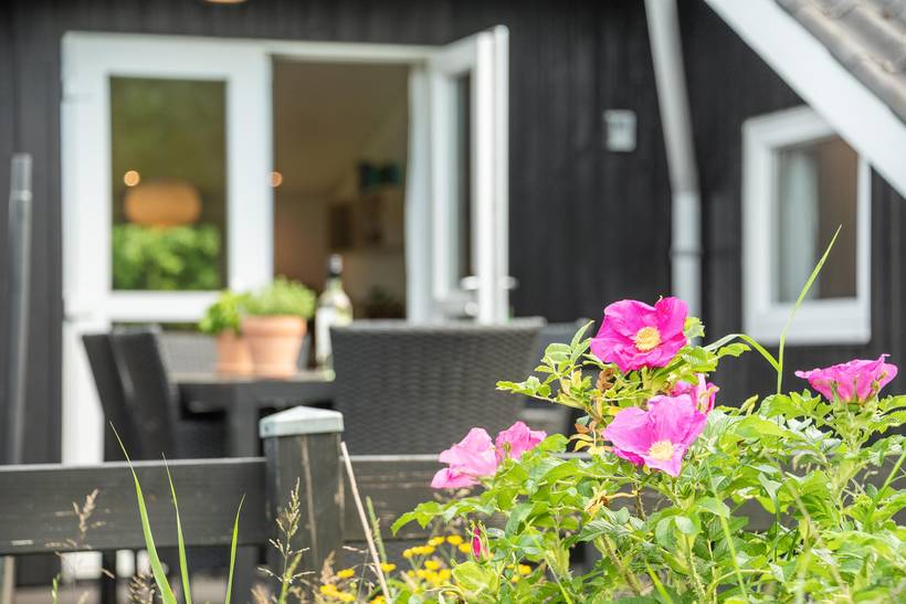 Foto von Ferienhaus SL55 in Kongsmark - Rømø