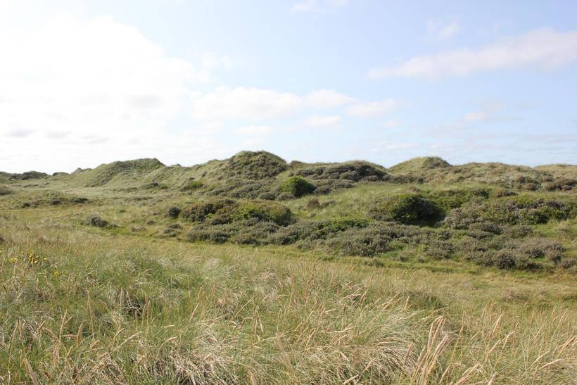 Foto von Ferienhaus SL70 in Tranum - Slettestrand - Nordjütland